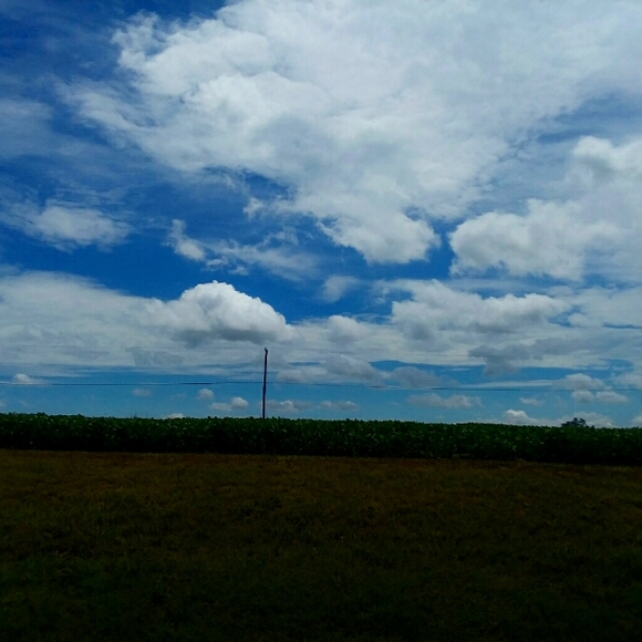 Hello! Thanks for stopping by...... - Picture 1 of 2